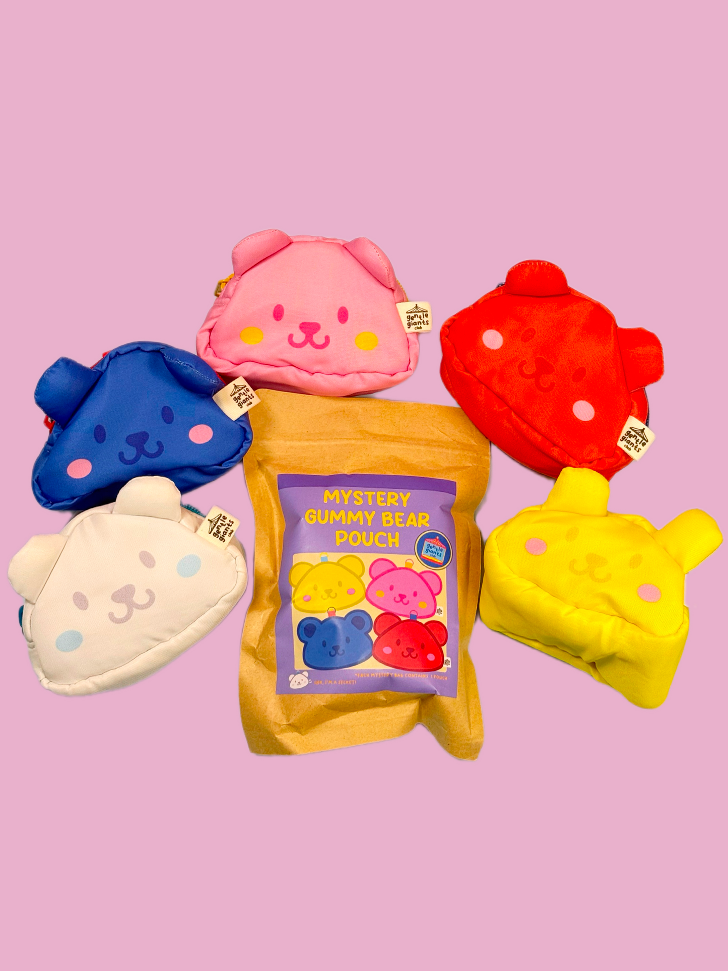 Mystery Gummy Bear Pouch